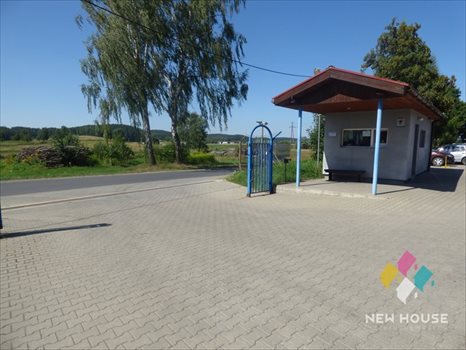 Lokal użytkowy na wynajem Dorotowo 800m2 Foto 2