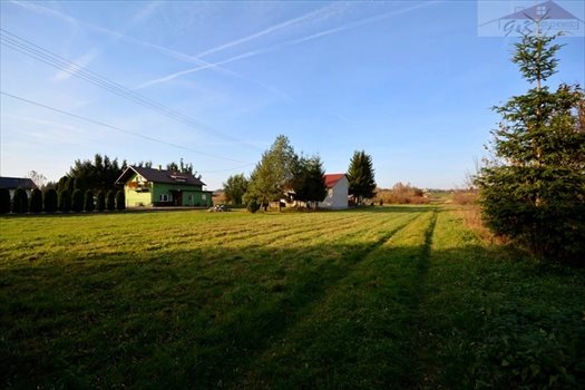 Działka budowlana na sprzedaż Ostrów 2 565m2 Foto 3