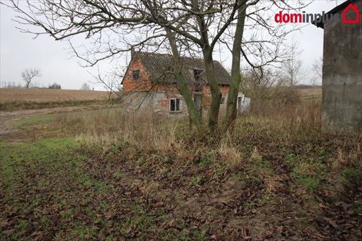 Działka inna na sprzedaż Trutowo 7 952m2 Foto 2