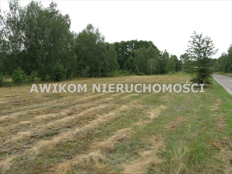 Działka budowlana na sprzedaż Makówka 2 161m2 Foto 2