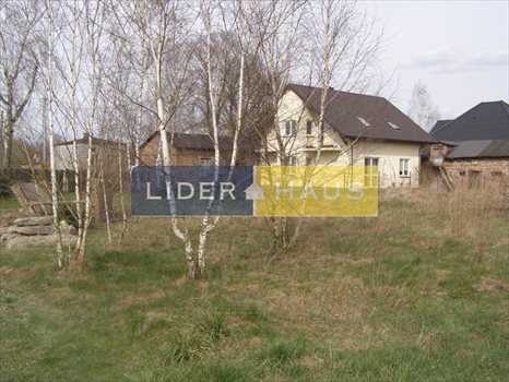 Działka budowlana na sprzedaż Borzęcin Mały 1 020m2 Foto 2