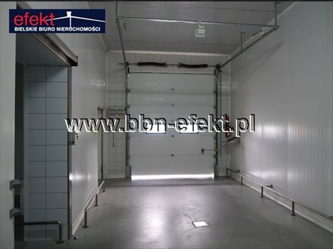 Lokal użytkowy na sprzedaż Rybarzowice 1 880m2 Foto 5