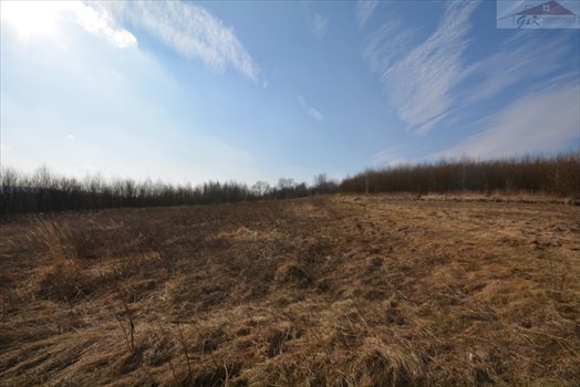 Działka rekreacyjna na sprzedaż Nozdrzec 3 023m2 Foto 9