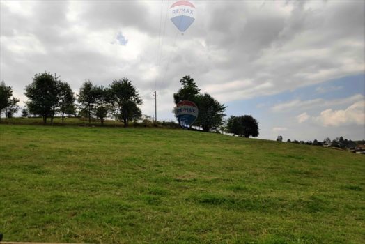 Działka budowlana na sprzedaż Rabka-Zdrój 3 782m2 Foto 6