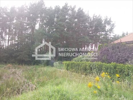 Działka budowlana na sprzedaż Bojano 1 068m2 Foto 6