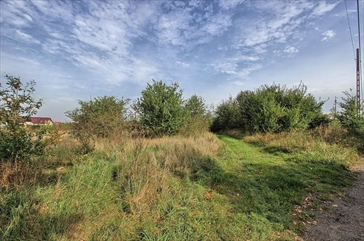 Działka rolna na sprzedaż Dołuje 915m2 Foto 3