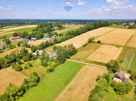 Działka budowlana na sprzedaż Roztropice 3 500m2 Foto 3