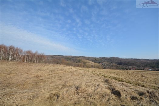 Działka rekreacyjna na sprzedaż Drohobyczka 5 800m2 Foto 2