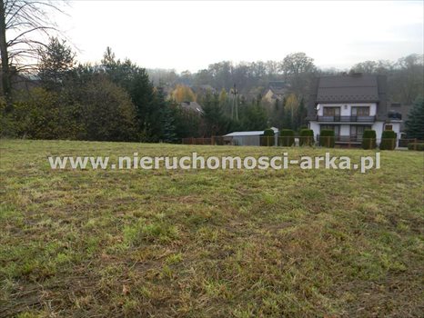 Działka inna na sprzedaż Jodłownik 6 000m2 Foto 2