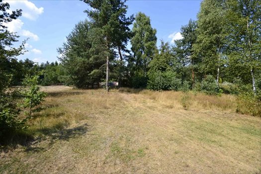 Działka rekreacyjna na sprzedaż Żarki 884m2 Foto 1