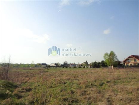 Działka budowlana na sprzedaż Sadowa, Wędrowców 5 280m2 Foto 4