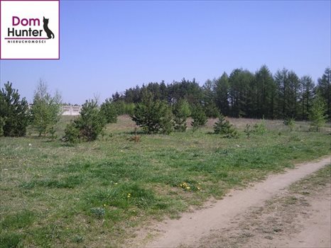 Działka budowlana na sprzedaż Gołubie 1 000m2 Foto 3