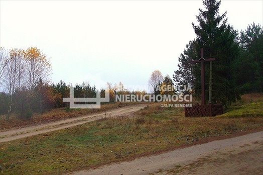 Działka leśna na sprzedaż Skwierawy 64 900m2 Foto 6