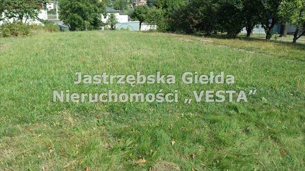 Działka inna na sprzedaż Jastrzębie-Zdrój, Szeroka 1 030m2 Foto 3