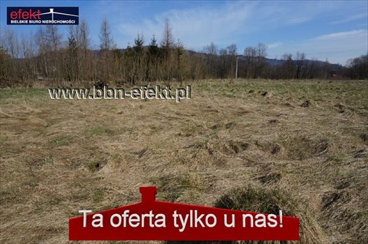 Działka inwestycyjna na sprzedaż Jeleśnia 3 310m2 Foto 7