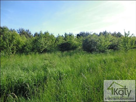 Działka budowlana na sprzedaż Jemiołowo, Jemiołowo, Jemiołowo 19 300m2 Foto 4