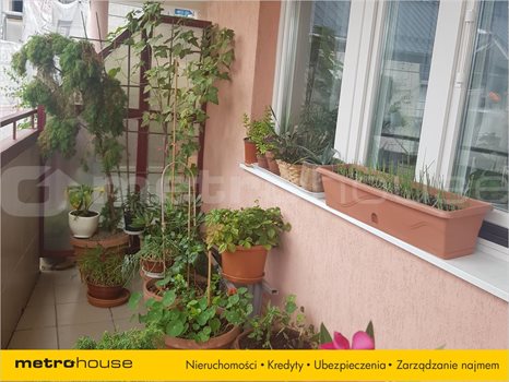 Kawalerka na sprzedaż Gdańsk, Orunia Górna, Bruskiego 33m2 Foto 4