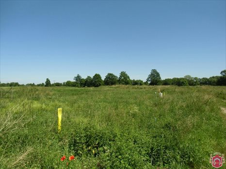 Działka budowlana na sprzedaż Reda, Ciechocino 1 024m2 Foto 1
