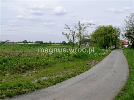 Działka budowlana na sprzedaż Domasław 1 712m2 Foto 5