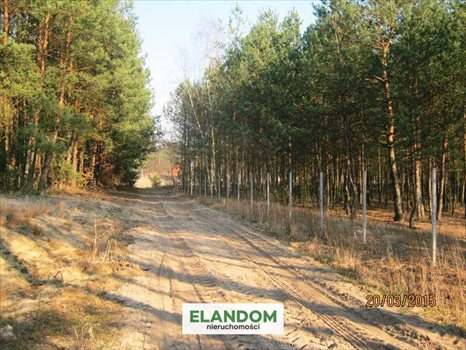 Działka rolna na sprzedaż Ponurzyca 10 000m2 Foto 5