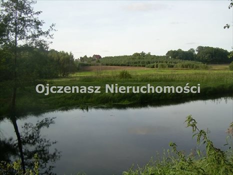 Działka leśna na sprzedaż Sąpolno 23 300m2 Foto 4
