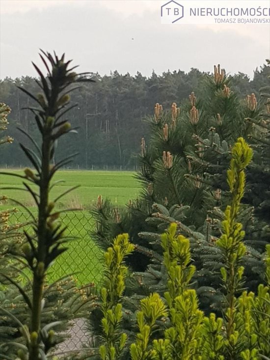 Dom na sprzedaż Szamotuły 1 500m2 Foto 6