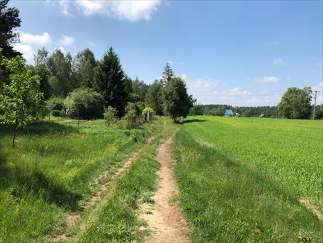 Działka inna na sprzedaż Kamień, Jarzębia 6 800m2 Foto 5