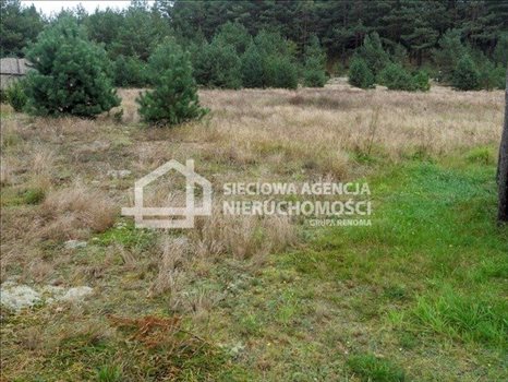 Działka budowlana na sprzedaż Swornegacie 2 073m2 Foto 8