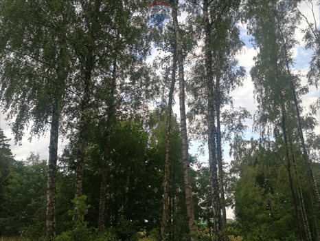 Działka budowlana na sprzedaż Dąbrówka-Strumiany 1 972m2 Foto 7
