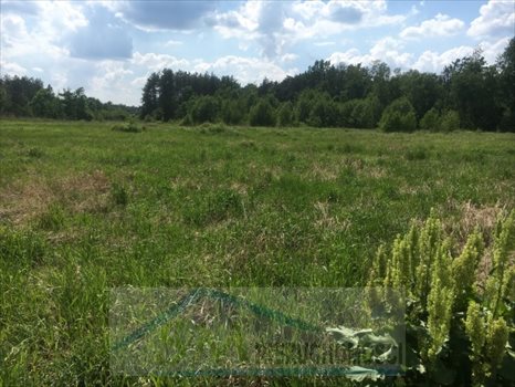 Działka przemysłowo-handlowa na sprzedaż Emilianów, wjazd z węzła trasy S8 Wola Rasztowska 56 264m2 Foto 7