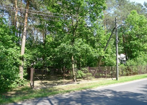 Działka leśna na sprzedaż Jedlicze A 1 000m2 Foto 4