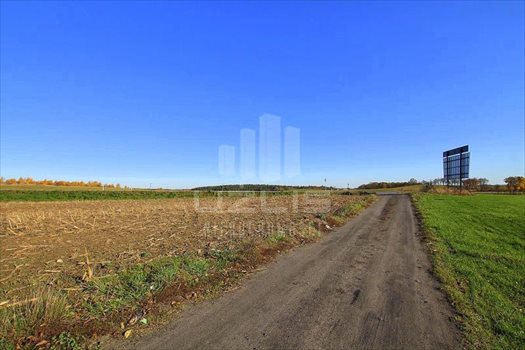 Działka inna na sprzedaż Janowo, Pelplińska 3 000m2 Foto 12