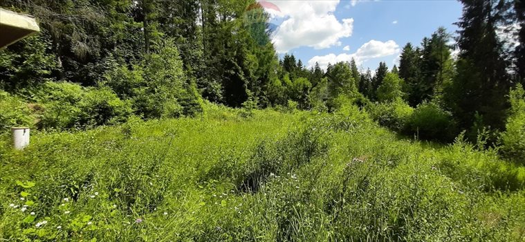 Działka budowlana na sprzedaż Nowy Targ 1 000m2 Foto 4
