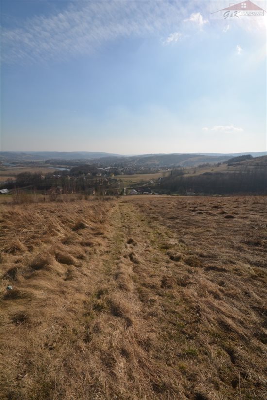 Działka rekreacyjna na sprzedaż Nozdrzec 3 023m2 Foto 13