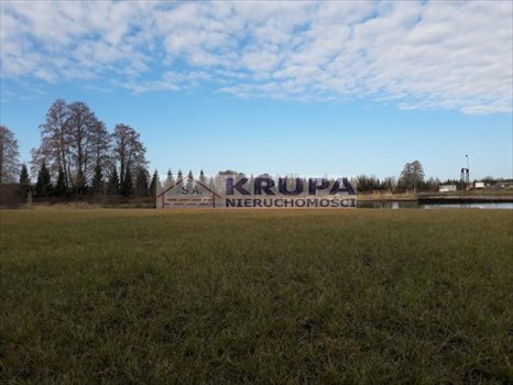 Działka inwestycyjna na sprzedaż Borki 98 000m2 Foto 4