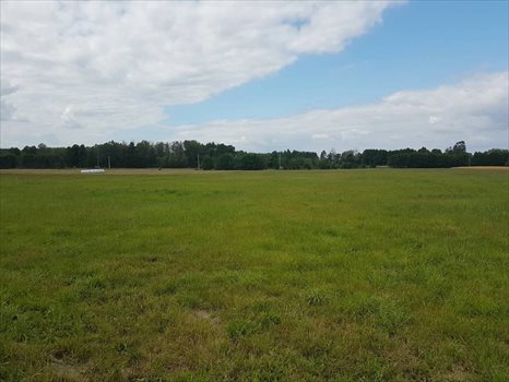Dom na sprzedaż Błachów, Opolska 350m2 Foto 9