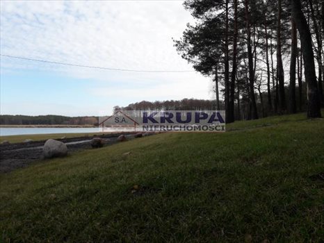 Działka inwestycyjna na sprzedaż Borki 98 000m2 Foto 3