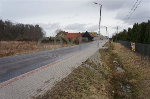 Działka inna na sprzedaż Wielichowo 5 600m2 Foto 11