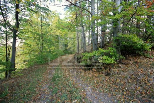 Działka siedliskowa na sprzedaż Grabówko, Jezioro, Las, Grabówko 3 100m2 Foto 4