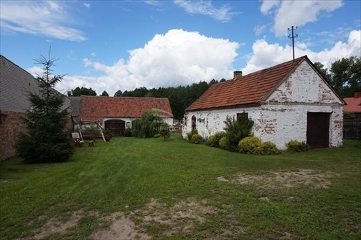 Dom na sprzedaż Mały Płock 110m2 Foto 2