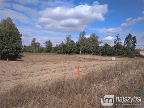 Działka siedliskowa na sprzedaż Kolincz, obrzeża 4 900m2 Foto 5