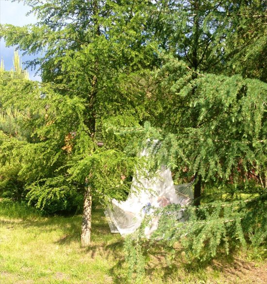 Dom na sprzedaż Rudniki, Rudniki 25 60m2 Foto 8