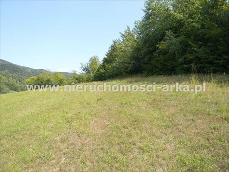 Działka budowlana na sprzedaż Kłodne 1 800m2 Foto 7