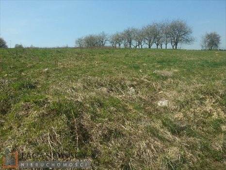 Działka budowlana na sprzedaż Wilczkowice 1 281m2 Foto 2