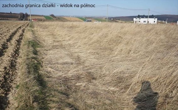 Działka budowlana na sprzedaż Żerkowice 998m2 Foto 7