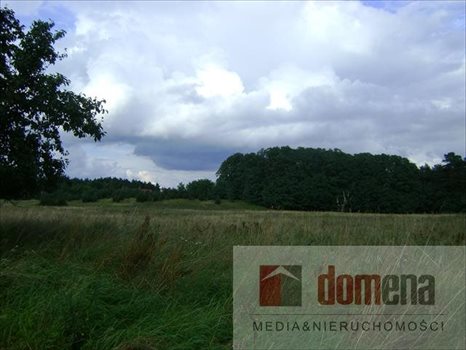 Działka budowlana na sprzedaż Kolonia Kęszyca 1 000m2 Foto 4
