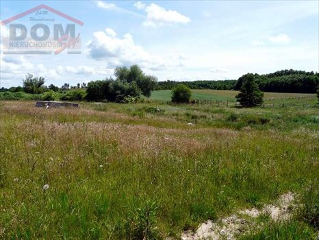 Działka inna na sprzedaż Gudowo, Jezioro, Las, Rzeka, Tereny rekreacyjne 1 748m2 Foto 9