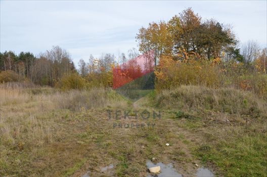 Działka rolna na sprzedaż Gdynia, Chwarzno-Wiczlino 8 057m2 Foto 6