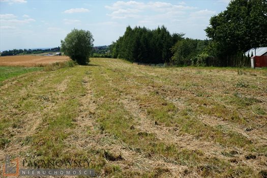 Działka budowlana na sprzedaż Sieborowice 2 600m2 Foto 4