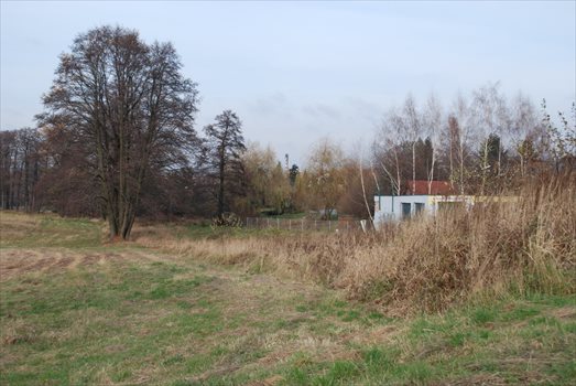 Działka budowlana na sprzedaż Mikołów, Stara Droga 2 450m2 Foto 3